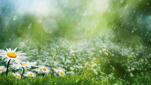 طقس الخميس: أمطار محلية مع إمكانية تساقط البرد والحرارة في ارتفاع