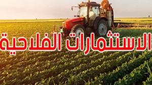 تطور الاستثمارات الفلاحية المصادق عليها خلال الثلاثي الأول من السنة الجارية بـ37.8 بالمائة