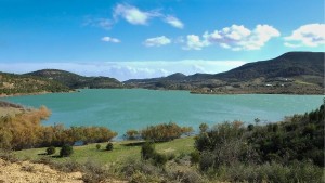 رئيس قسم المياه بمندوبية الفلاحة بنابل: نسبة امتلاء سدود الجهة بلغت 100 بالمائة