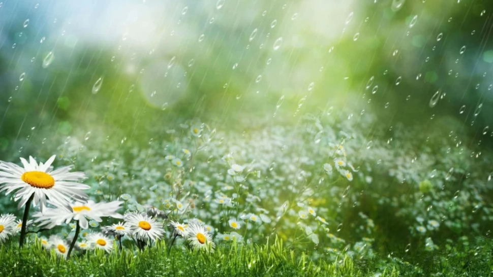 طقس الخميس: أمطار محلية مع إمكانية تساقط البرد والحرارة في ارتفاع