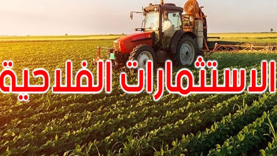 تطور الاستثمارات الفلاحية المصادق عليها خلال الثلاثي الأول من السنة الجارية بـ37.8 بالمائة