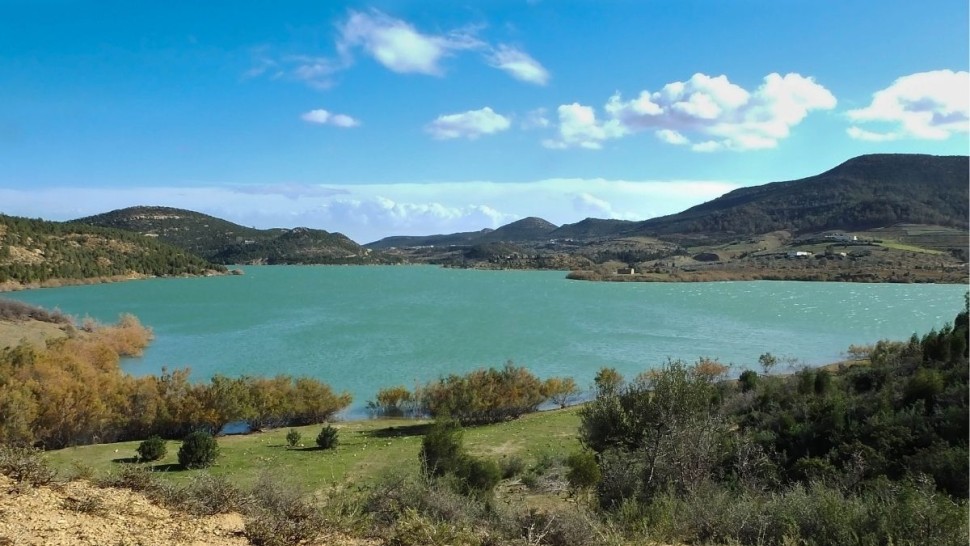 رئيس قسم المياه بمندوبية الفلاحة بنابل: نسبة امتلاء سدود الجهة بلغت 100 بالمائة