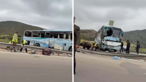 الطريق السيارة باجة - تونس: وفاة شخص وإصابة 51 آخرين في انقلاب حافلة سياحية جزائرية