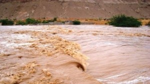 امطار القصرين