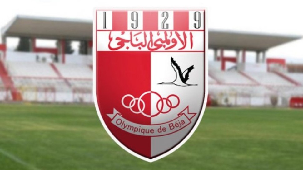 الرابطة المحترفة الأولى