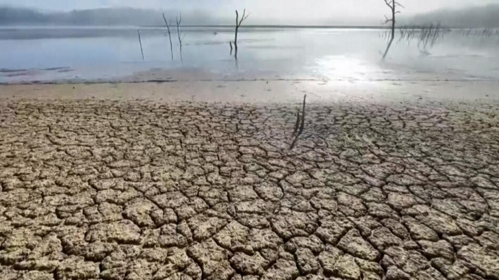 البنك الافريقي للتنمية: من المتوقع أن تنخفض معدلات هطول الأمطار في تونس بحلول سنة 2100