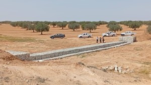 ارض فلاحية صفاقس