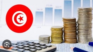 تمويل المؤسسات