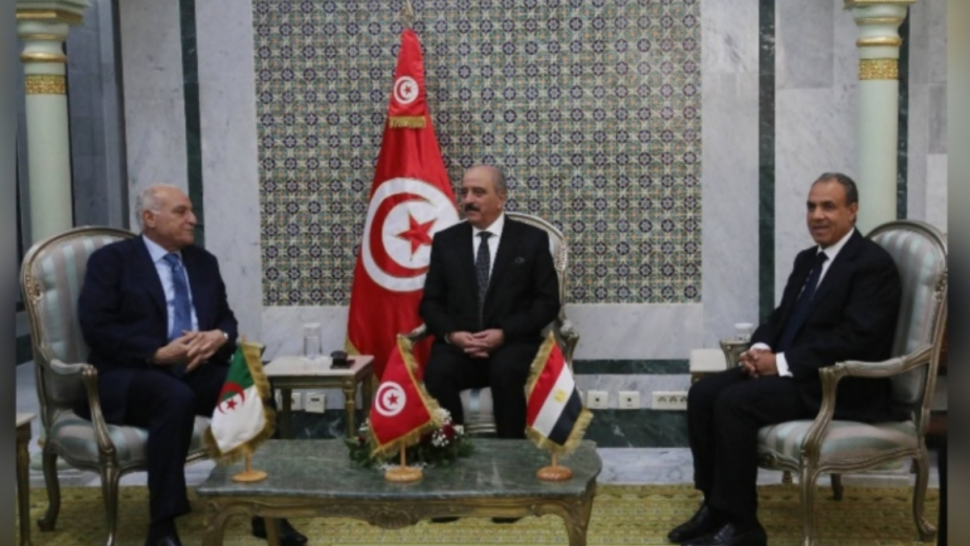 وزير الخارجية يشارك في اجتماع آلية التشاور الثلاثي حول ليبيا بالقاهرة