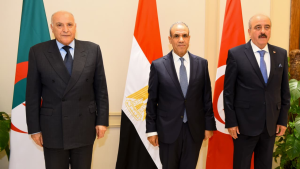 تونس ومصر والجزائر تؤكد ضرورة خروج المرتزقة والقوات الأجنبية من ليبيا