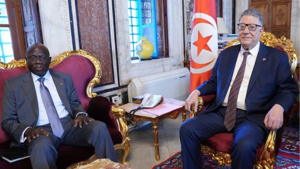 بودربالة : من الضروري أن توحّد الدول الإفريقية رؤاها أمام التحولاّت العالمية