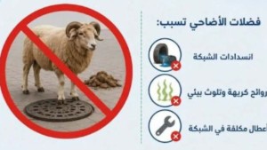 ديوان التطهير يدعو إلى عدم إلقاء فضلات الأضاحي في شبكة الصرف الصحي