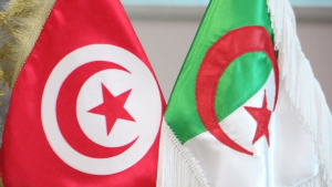 الجزائر تؤكد مواصلة تزويد تونس بالكهرباء خلال صيف 2026
