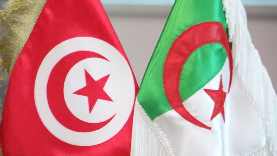 الجزائر تؤكد مواصلة تزويد تونس بالكهرباء خلال صيف 2026
