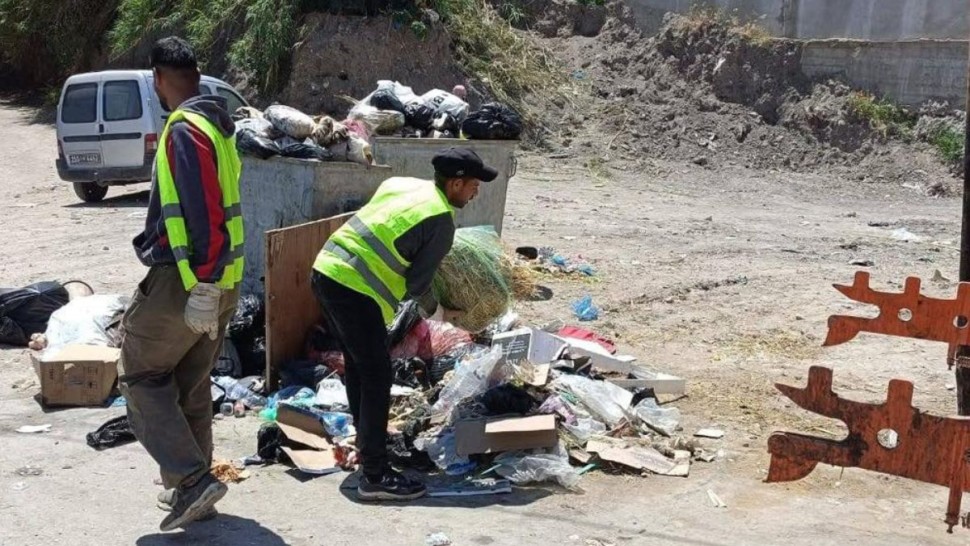 باجة: حملات نظافة مكثفة لرفع فضلات الأضاحي
