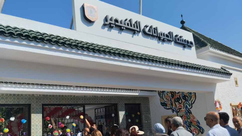 بعد أشغال تهيئة ..حديقة الحيوانات بالبلفدير تستقبل زوارها في حلة جديدة (صور)