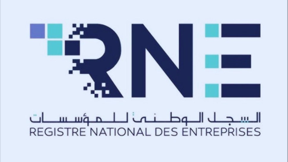 السجل الوطني للمؤسسات