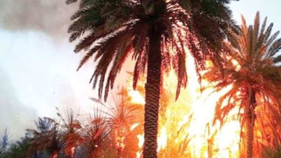 حريق دوز