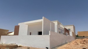 تونس اليابان