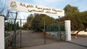 مشروع لتطوير "حديقة التوتة" بصفاقس.. فضاء للتماسيح وتعزيز الجناح الحيواني بأسد ولبؤة جديدين