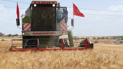 حصاد منوبة