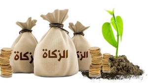 مفتي الجمهورية يحدد نصاب زكاة المال للعام الهجري الجديد بـ34.369 دينارًا