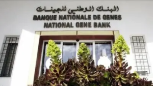البنك الوطني للجينات: استرجاع أكثر من 7700 عينة وراثية يعزز السيادة الغذائية في تونس