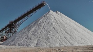شرعت فرقة الابحاث ومكافحة التهرب الجبائي أو ما يعرف باسم الشرطة الجبائية، منذ بداية السنة الحالية في مباشرة تحقيقات في شبهات تلاعب بالأسعار في قطاع انتاج الملح وسط توقعات بخسائر بملايين اليوروهات لتونس
