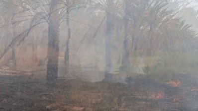 حريق