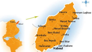 عضو المجلس المحلي بحمام الأغزاز برهان بن حورية: لم أتدخل في شؤون قليبية و "مشاكلنا التنموية والبيئية واحدة"