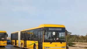 نقل تونس : انطلاق استغلال 20 خطّ حافلة خاص بالشواطئ