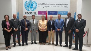 البعثة الاممية