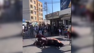 تعذيب حصان