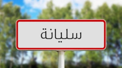 سليانة: مسح 700 كلم من حواشي الطرقات و50 كلم من المسالك الريفية المعبدة