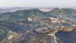 جبل زغوان