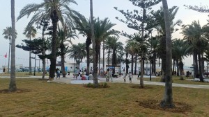 حديقة المهدية