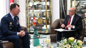 وزير الدفاع يبحث مع قائد القيادة العسكرية الأمريكية لإفريقيا سبل تطوير الشراكة بين الجانبين