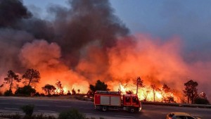 وزارة الثقافة الجزائرية تعلق المهرجانات بسبب الحرائق