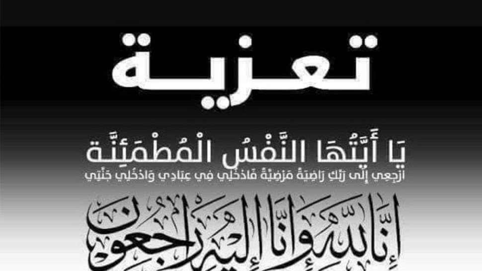 شمس الدين الذوادي