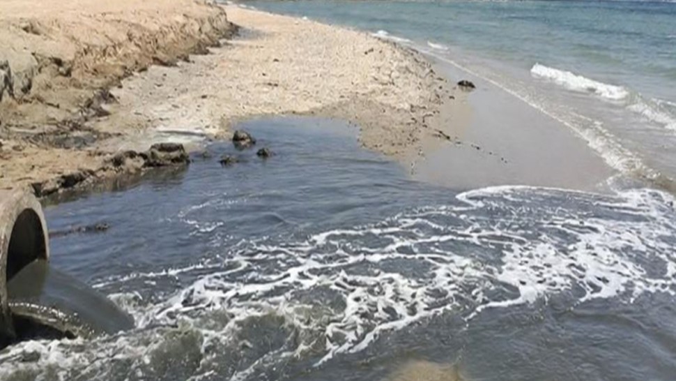 الحمامات