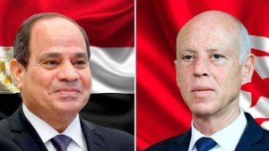 السيسي يؤكد لرئيس الجمهورية استعداد مصر لتقديم الدعم اللازم لتونس لمواجهة الحرائق