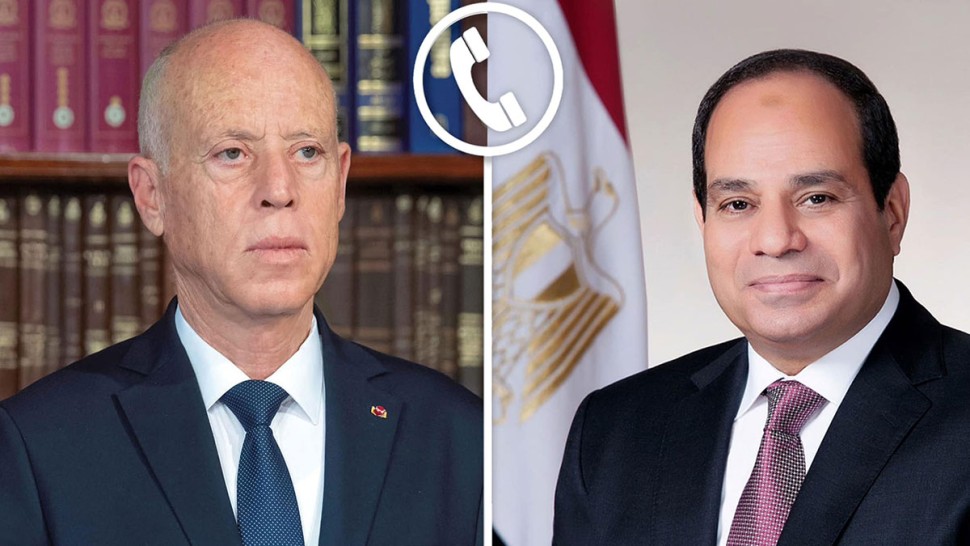 سعيد للسيسي: الحركة الصهيونية العالمية تسعى لإسقاط الدّول بتفجير الأوضاع داخلها