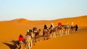 قبلي: استعدادات حثيثة لانجاح موسم السياحية الصحرواية