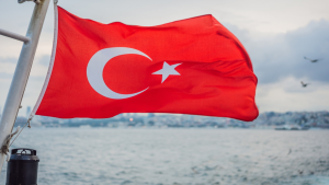 تركيا تدعو أميركا للضغط على الكيان المحتل لتنفيذ خطة السلام