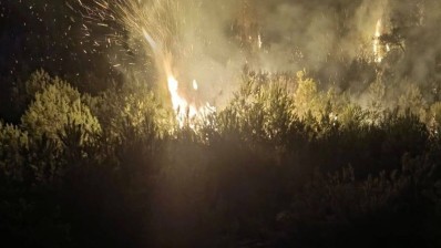 بنزرت: اندلاع حريق في غابة جبل بالشاطر