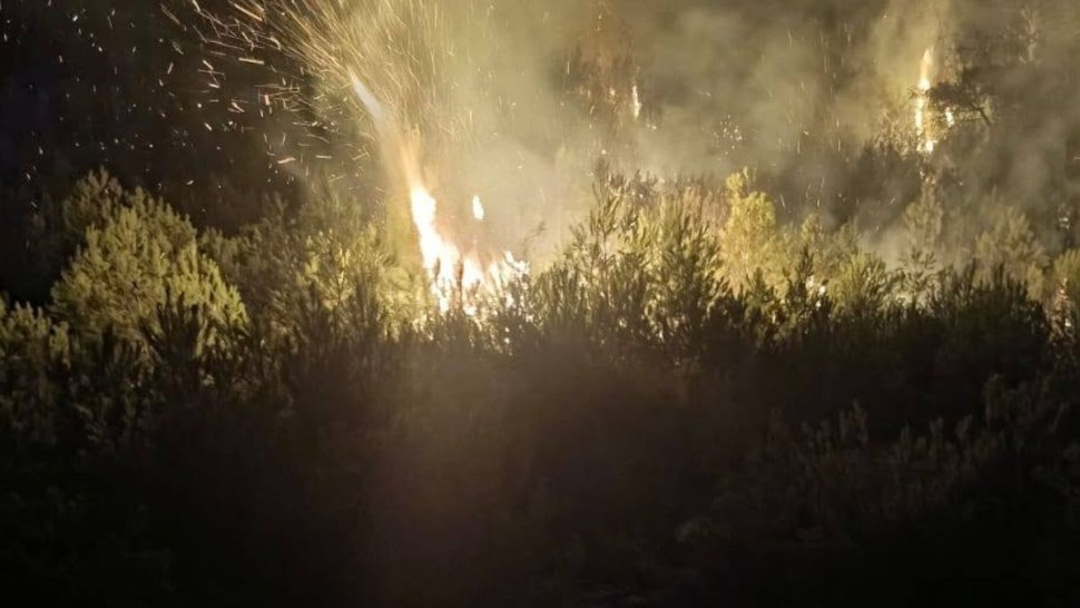 بنزرت: اندلاع حريق في غابة جبل بالشاطر