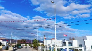 ولاية زغوان
