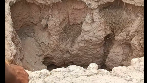 3 وفيات داخل حفرة عميقة.. تفاصيل "فاجعة الشراردة"