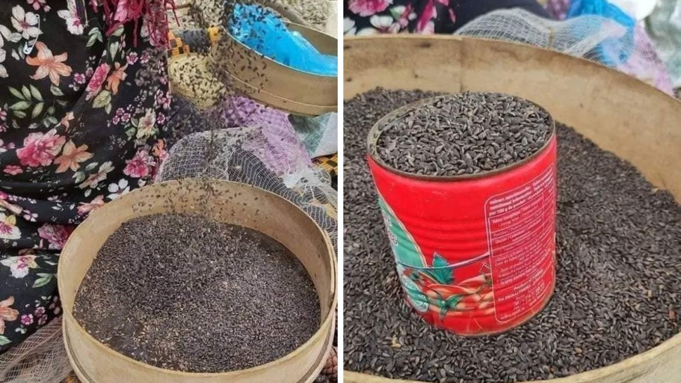 تجار الزقوقو بصفاقس: الأسعار هذه السنة أقل من العام الماضي