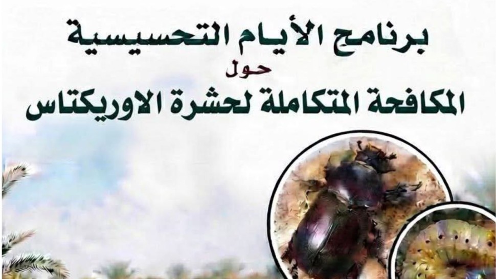 حشرة الاوريكتاس